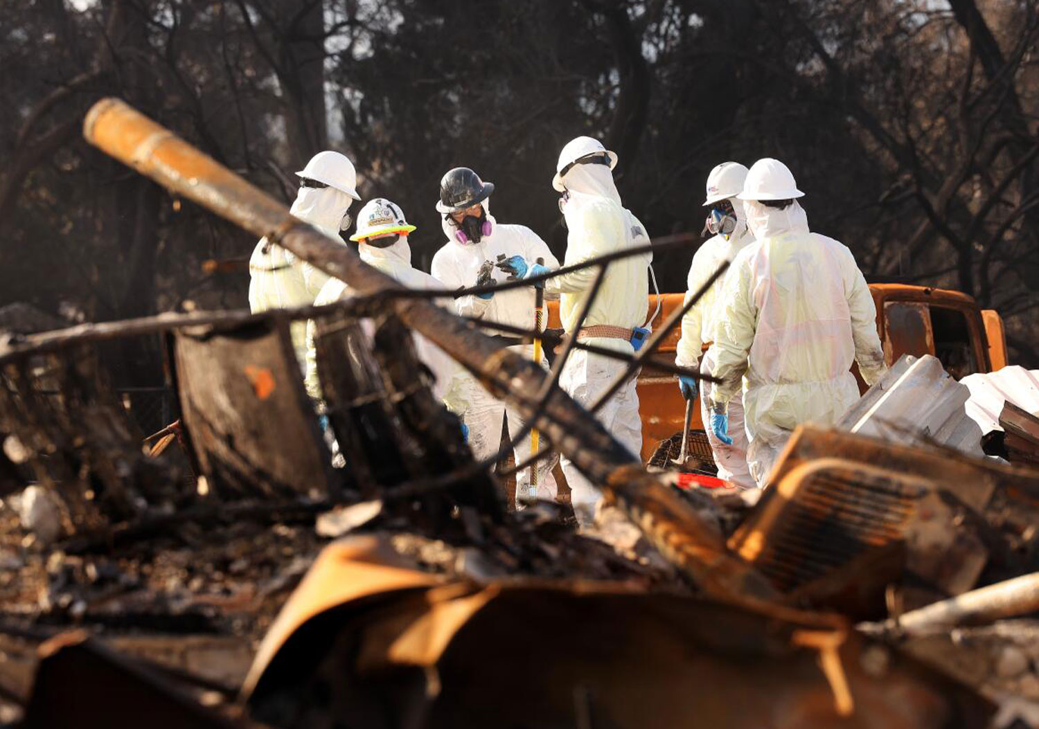 Palisades and Eaton Fire Recovery
