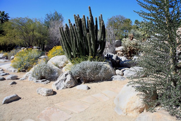 Native Plants – Smart and Sustainable Design
